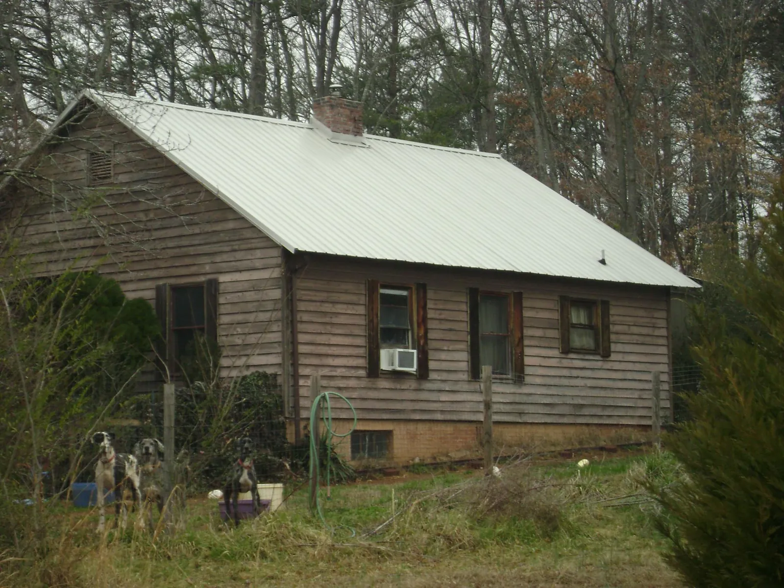 White metal roof on an old wood sided farmhouse, from a Metal Roof Installation job in College Place